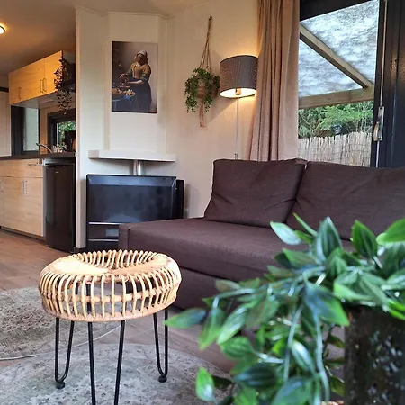 Beukenboom 2, Genieten Op De Veluwe De Rust En * Putten