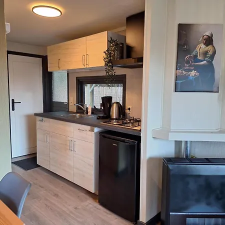 Beukenboom 2, Genieten Op De Veluwe De Rust En