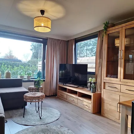 Beukenboom 2, Genieten Op De Veluwe De Rust En Putten