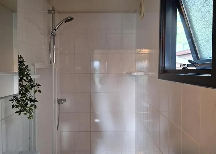 Beukenboom 2, Genieten Op De Veluwe De Rust En Chalet Putten