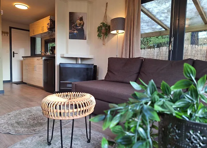 Beukenboom 2, Genieten Op De Veluwe De Rust En * Putten