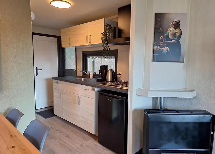 Beukenboom 2, Genieten Op De Veluwe De Rust En